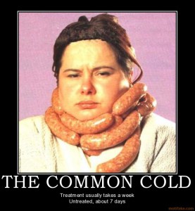 the-common-cold-common-cold-demotivational-poster-1260239029